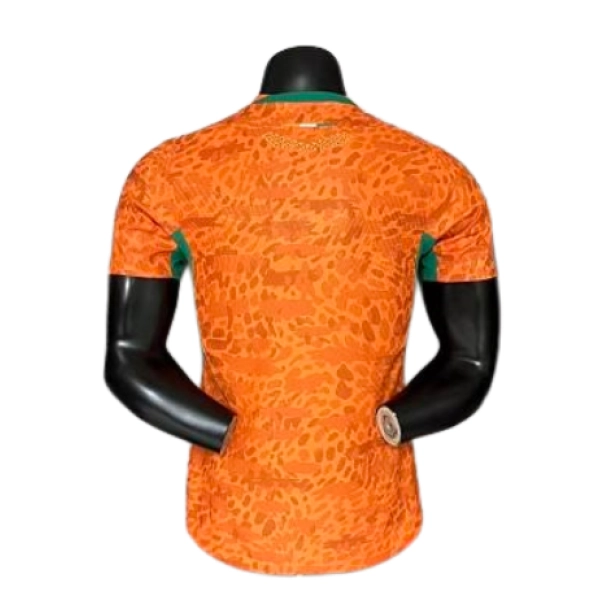 2026 Player Version Ivory Coast Jersey