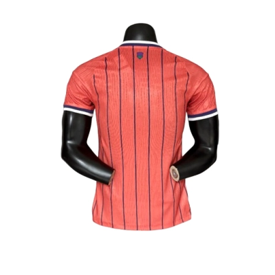 2026 Player version Scotland away Jersey 02