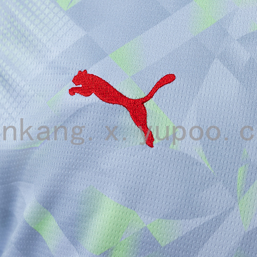 2026 Portugal GK-Gray Jersey