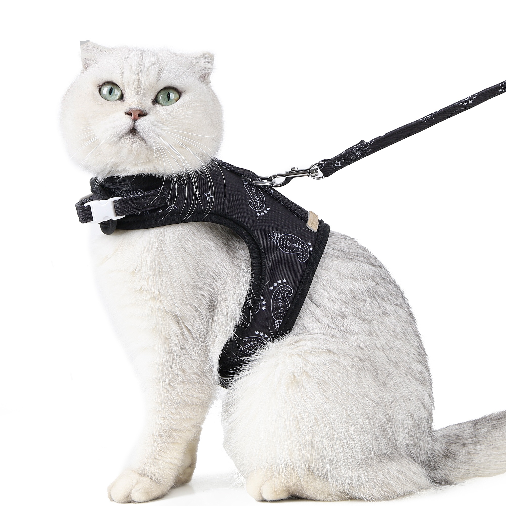 CAT Leashes & Collars Cat Traction Rope Walking Cat Rope Chest Vest Chest Strap Breathable Anti-breakaway Cat Chain