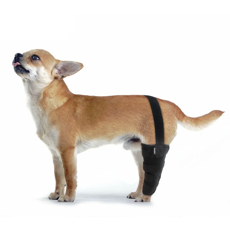 Luxating Patella Dog Brace