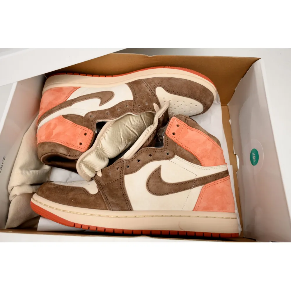 Air Jordan 1 Retro High OG SP Dusted Clay (Women's)  FQ2941-200