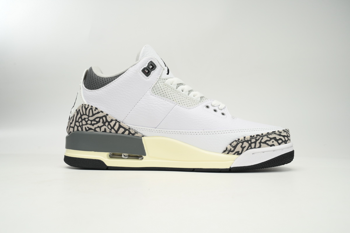 Air Jordan 3 Retro Hide N