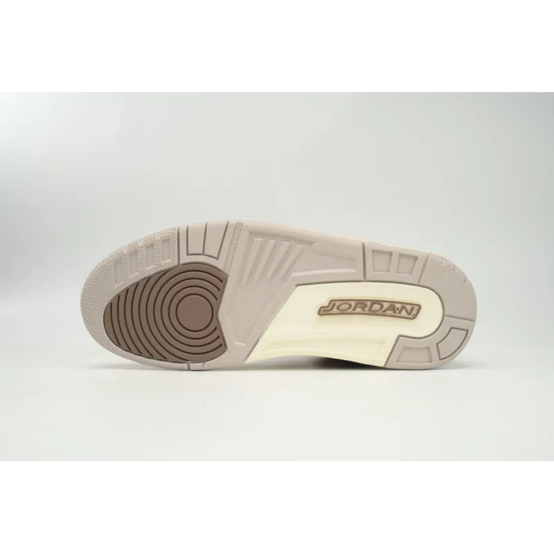 Air Jordan 3 Retro Palomino CT8532 102