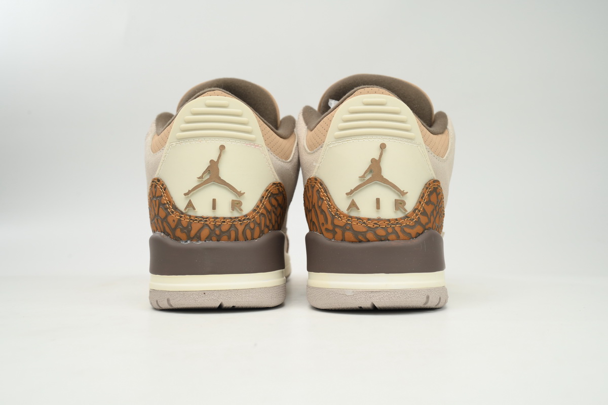 Air Jordan 3 Retro Palomino CT8532 102