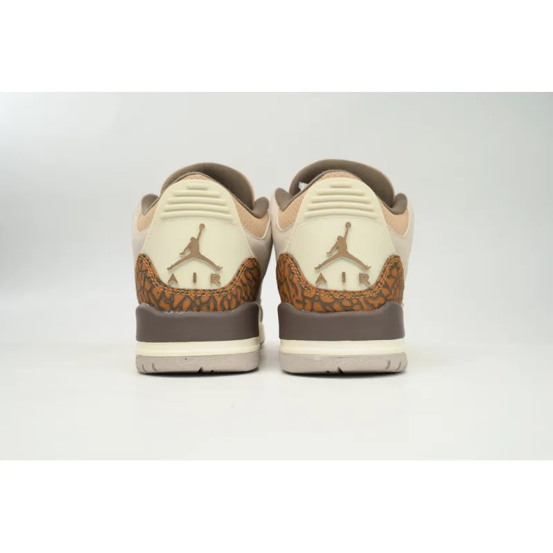 Air Jordan 3 Retro Palomino CT8532 102