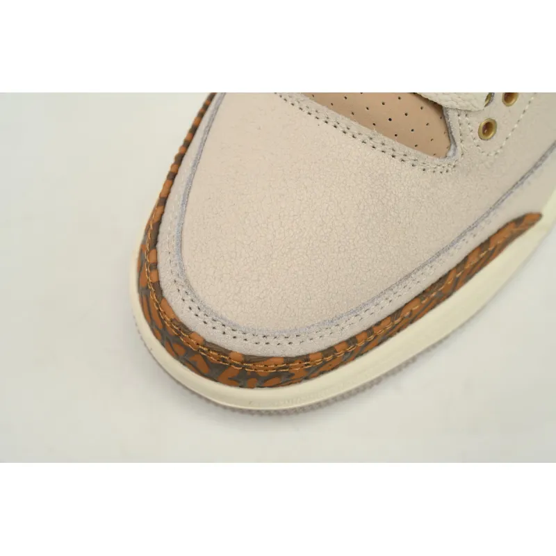 Air Jordan 3 Retro Palomino CT8532 102
