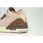 Air Jordan 3 Retro Palomino CT8532 102