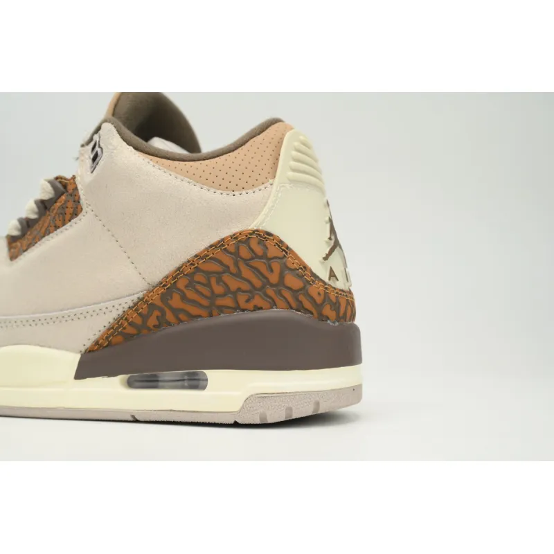 Air Jordan 3 Retro Palomino CT8532 102