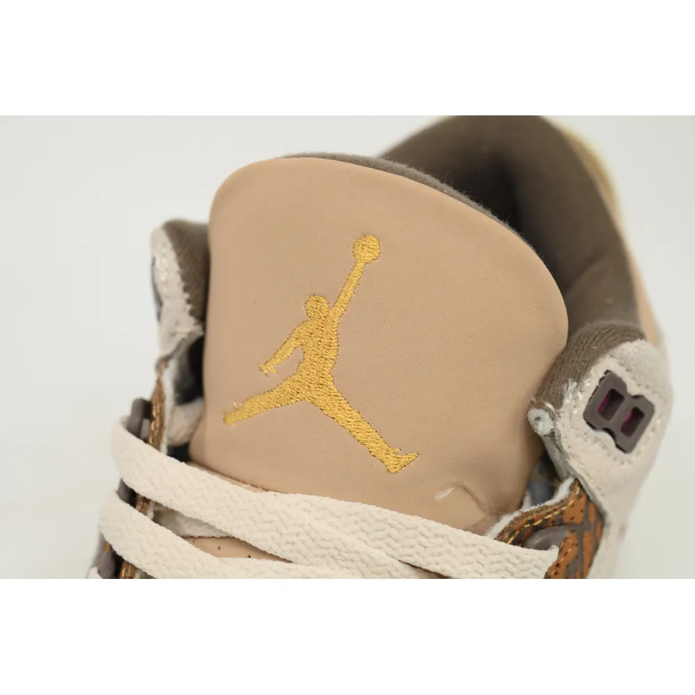 Air Jordan 3 Retro Palomino CT8532 102