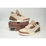 Air Jordan 3 Retro Palomino CT8532 102