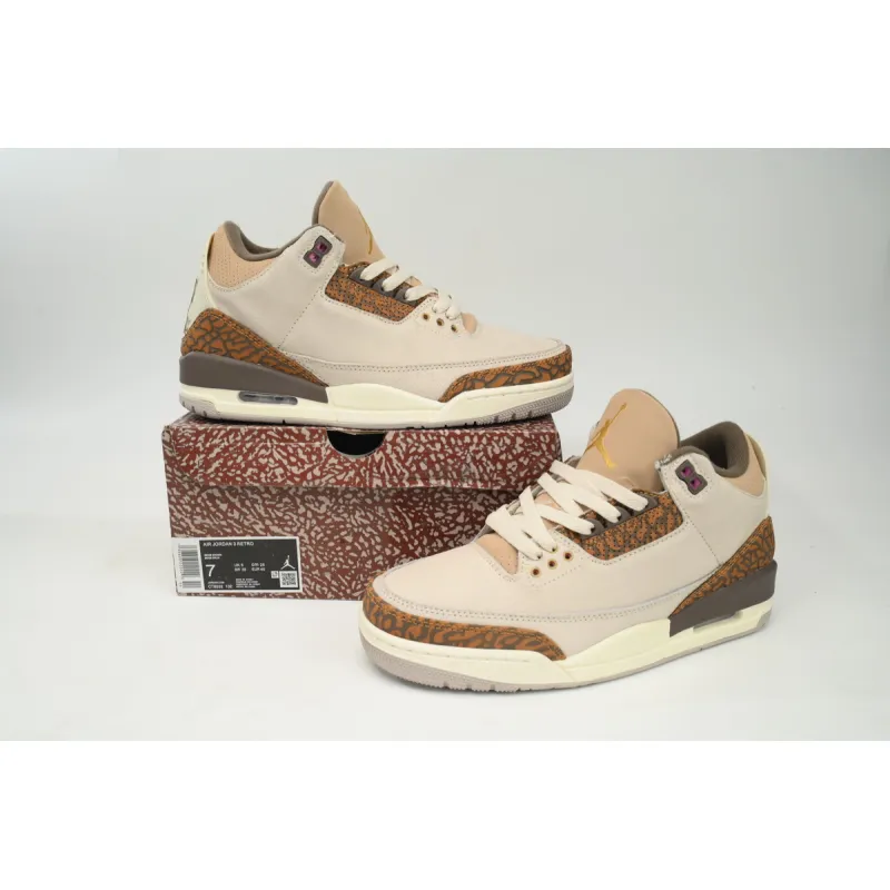 Air Jordan 3 Retro Palomino CT8532 102