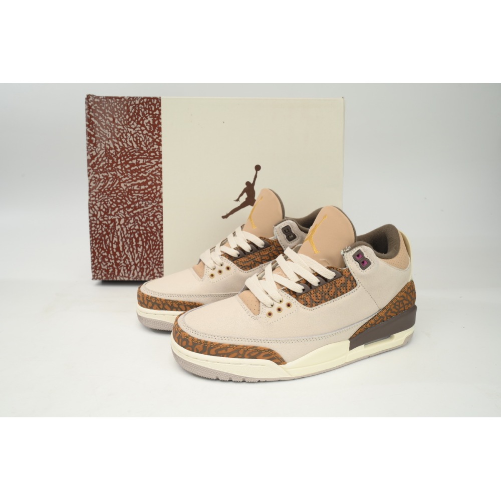 Air Jordan 3 Retro Palomino CT8532 102