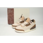 Air Jordan 3 Retro Palomino CT8532 102