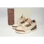 Air Jordan 3 Retro Palomino CT8532 102