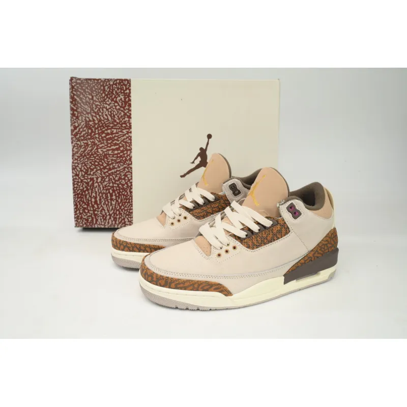 Air Jordan 3 Retro Palomino CT8532 102