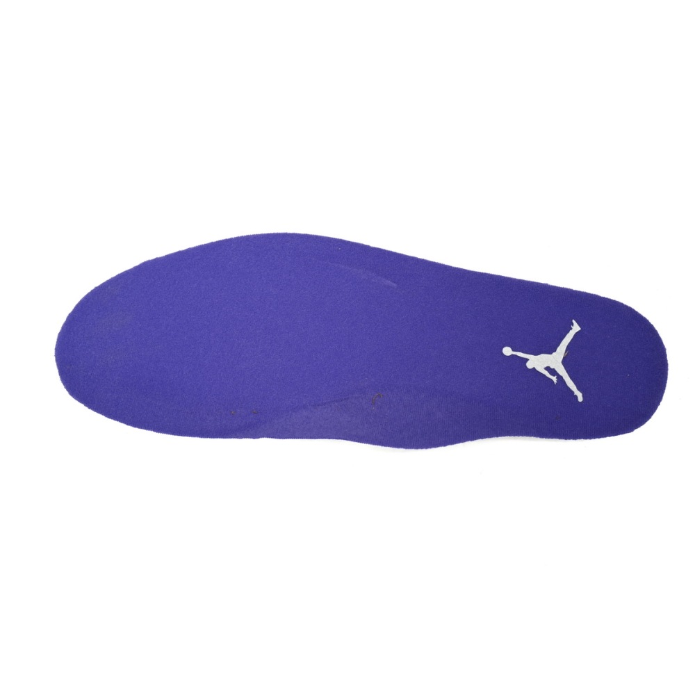 Air Jordan 3 Retro Dark Iris CT8532-105