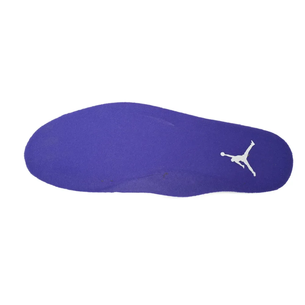 Air Jordan 3 Retro Dark Iris CT8532-105
