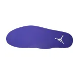 Air Jordan 3 Retro Dark Iris CT8532-105