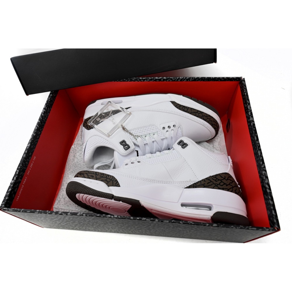 Air Jordan 3 Retro Mocha (2018) 136064-122
