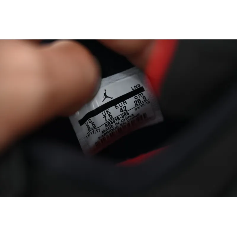Air Jordan 4 Retro Raptors (2018)  AQ3816-065