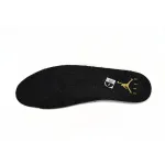 Air Jordan 6 Retro DMP (2020)  CT4954-007