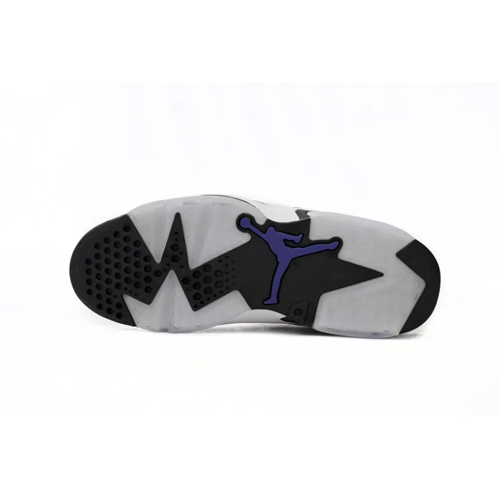 Air Jordan 6 Retro Flight Nostalgia CI3125-100