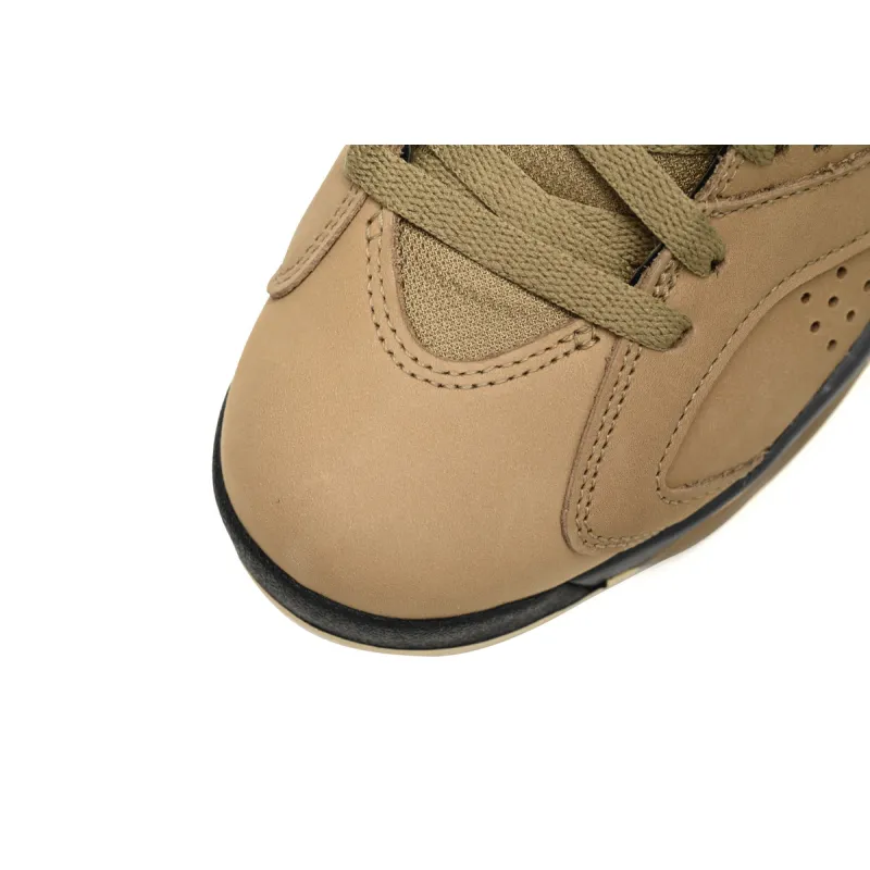 Air Jordan 6 Retro Gore-Tex Brown Kelp (Women's)  FD1643-300