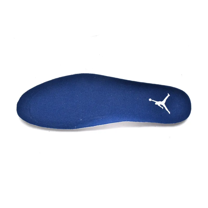 Air Jordan 6 Retro Midnight Navy (2022) CT8529-141