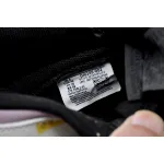 Nike Dunk Low SB AE86  DJ6188-002 