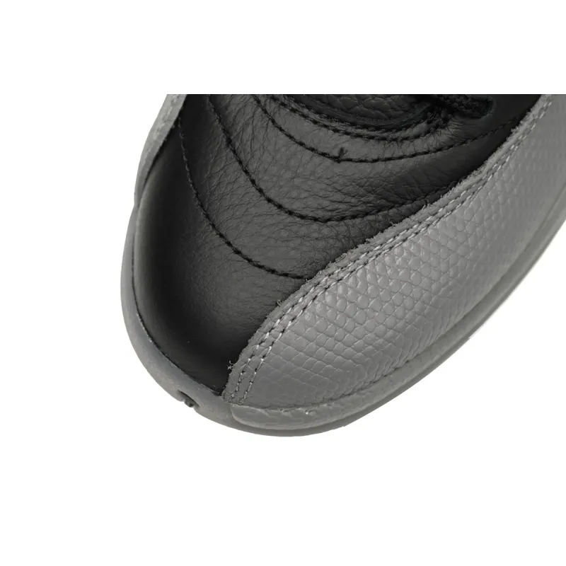 Air Jordan 12 Grey Wolf  CT8013-019