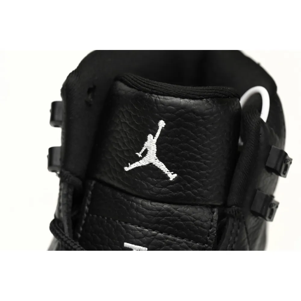 Air Jordan 12 Grey Wolf  CT8013-019
