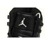 Air Jordan 12 Grey Wolf  CT8013-019