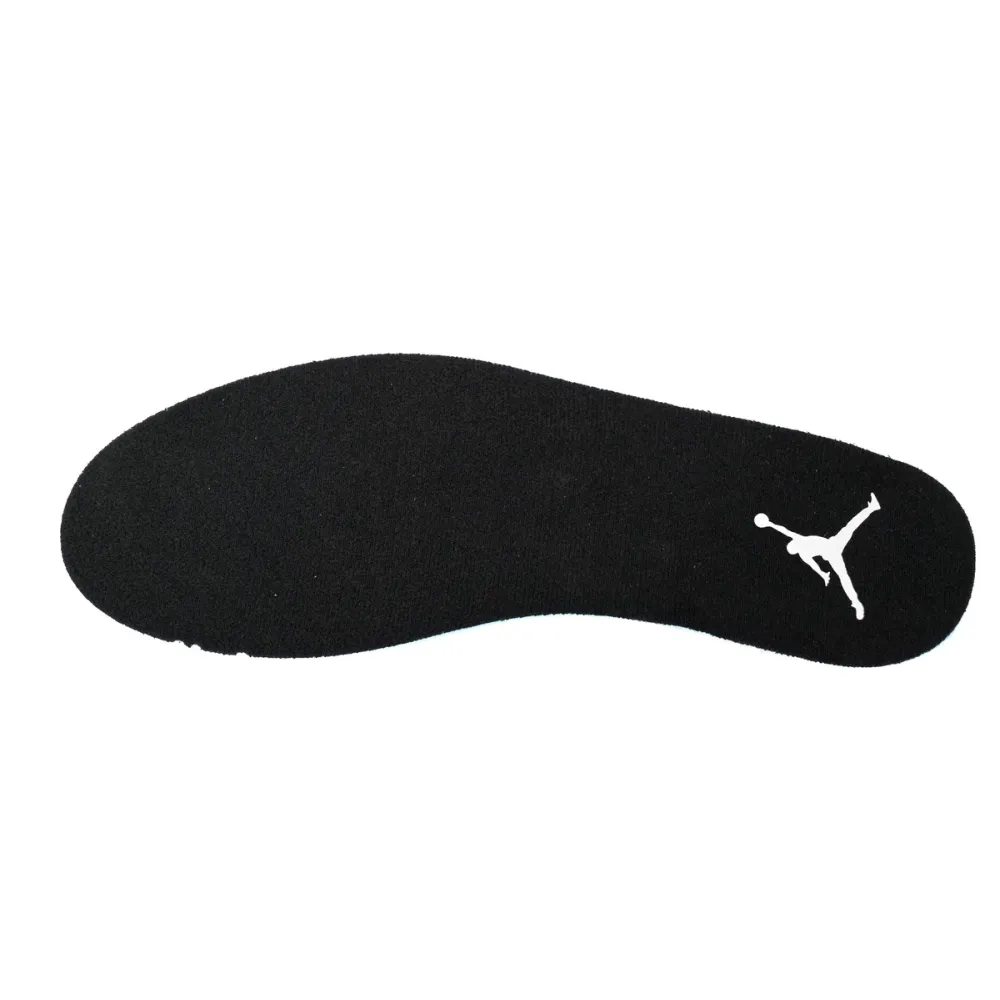 Air Jordan 12 Grey Wolf  CT8013-019