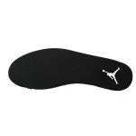 Air Jordan 12 Grey Wolf  CT8013-019