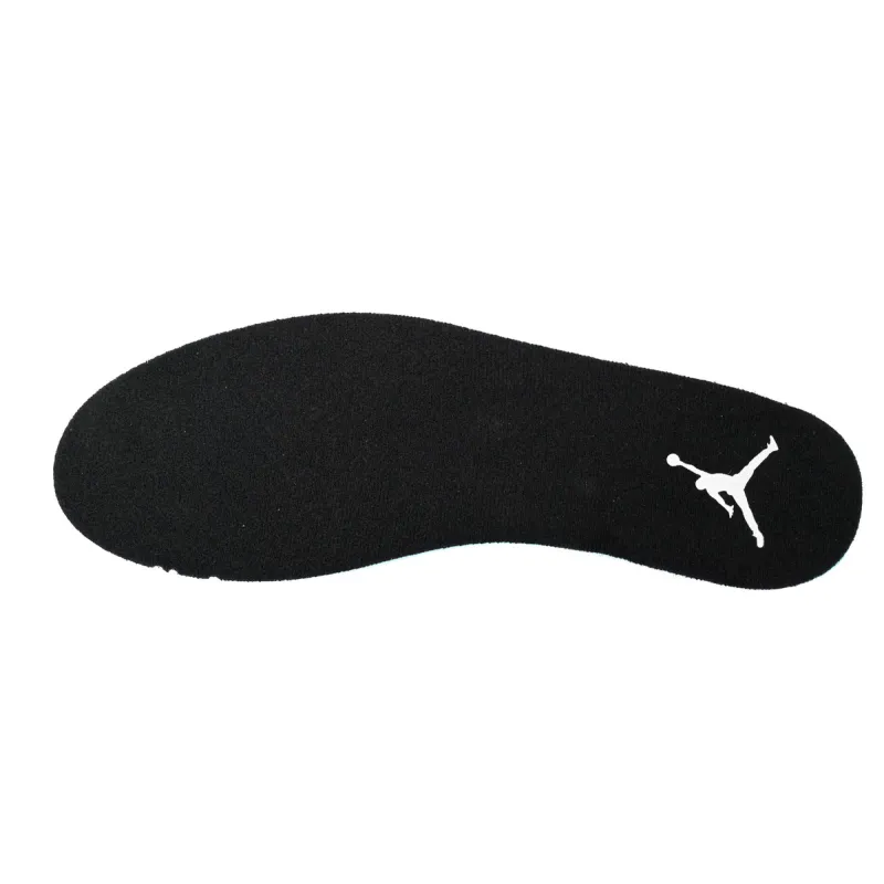 Air Jordan 12 Grey Wolf  CT8013-019