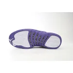 Air Jordan 12 PAICU  CT8013-150