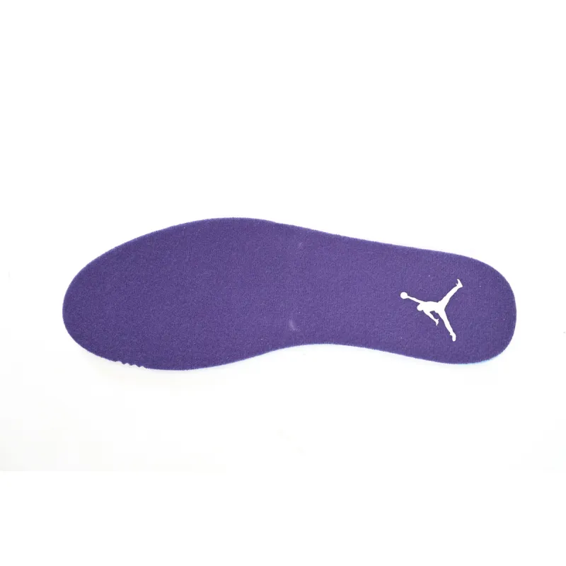 Air Jordan 12 PAICU  CT8013-150