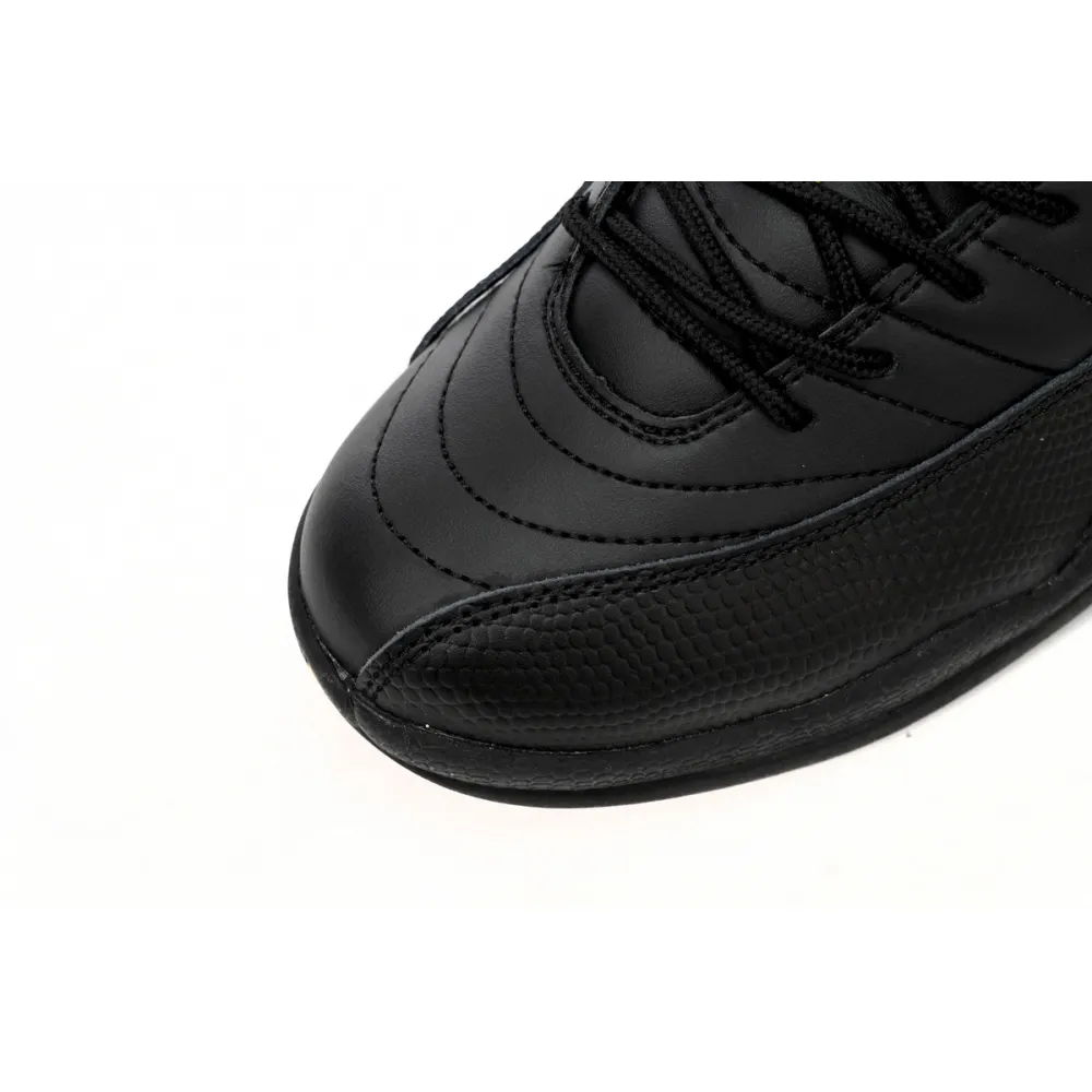 Air Jordan 12 Retro Black Taxi CT8013-071