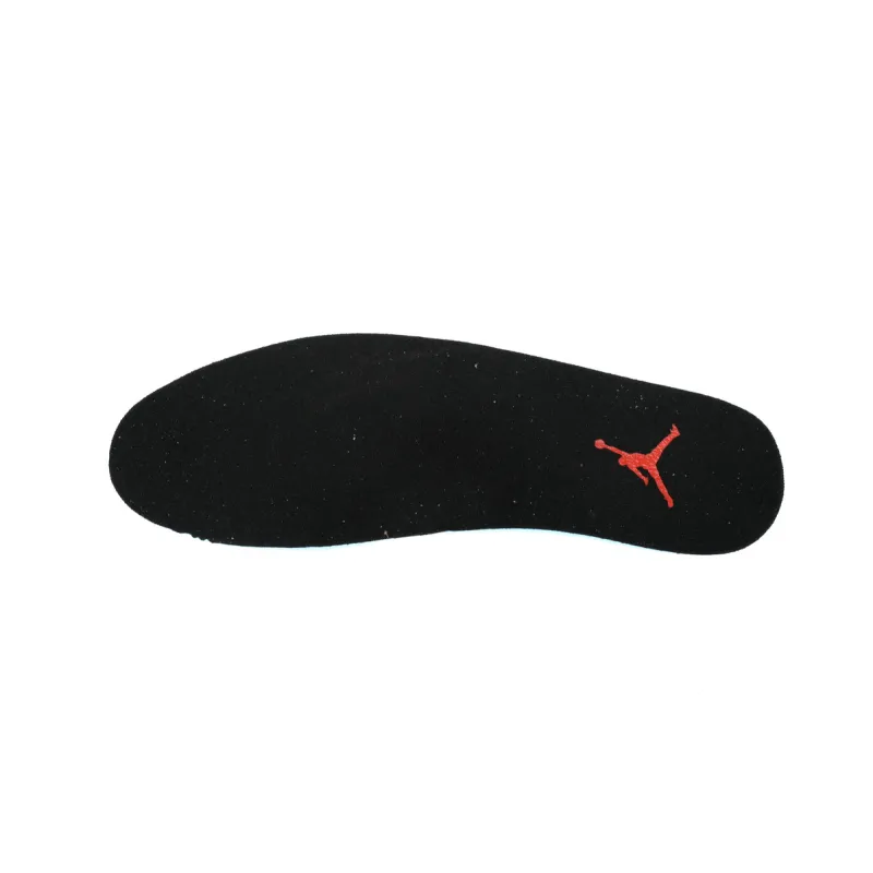 Air Jordan 12 Retro Cherry (2023)  CT8013-116