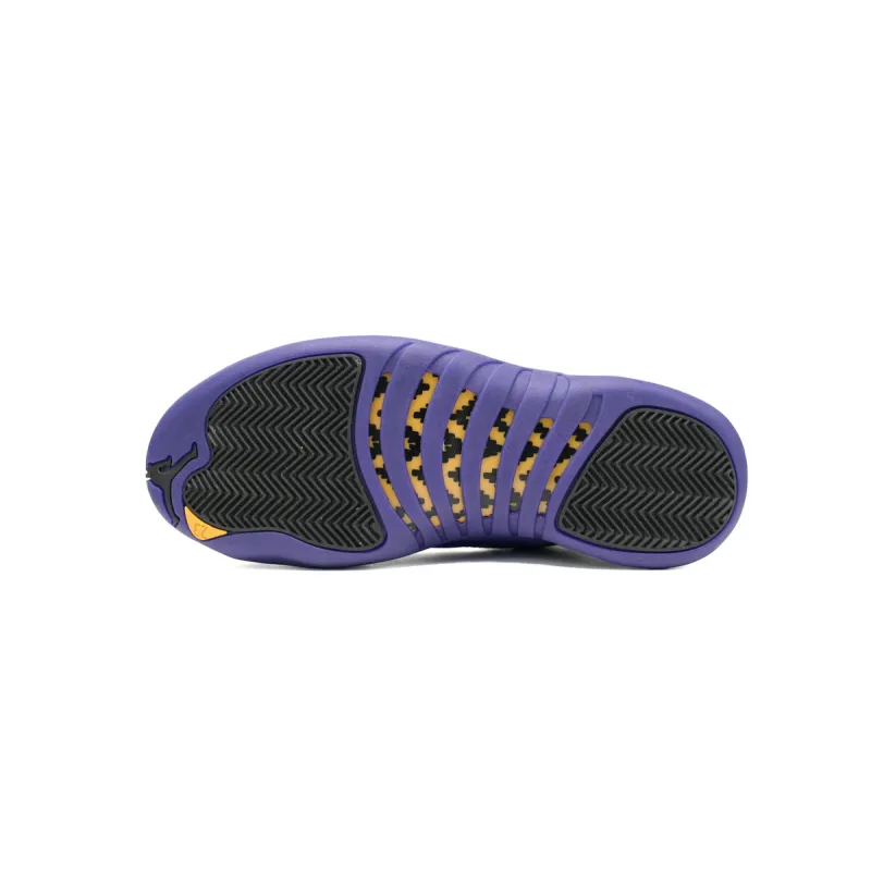 Air Jordan 12 Retro Field Purple CT8013-057