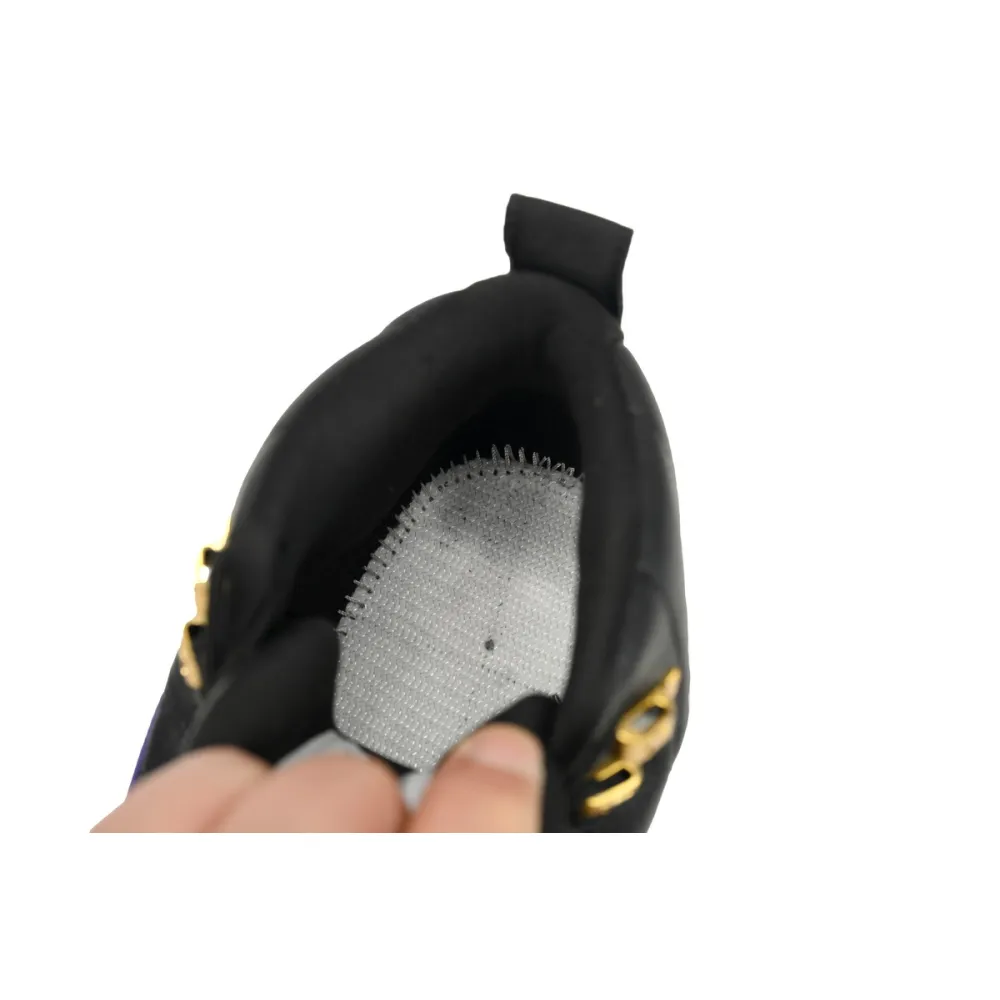 Air Jordan 12 Retro Field Purple CT8013-057