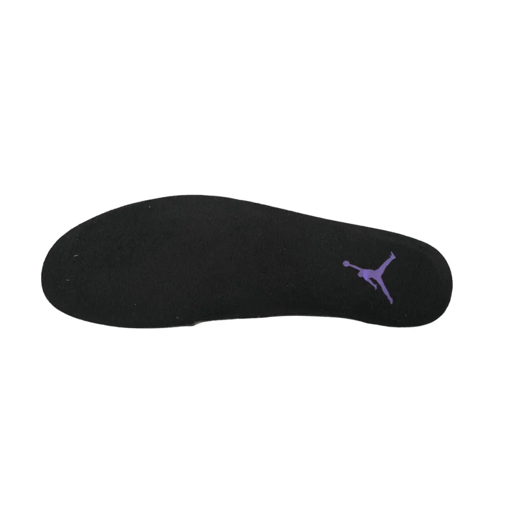 Air Jordan 12 Retro Field Purple CT8013-057