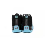 Air Jordan 12 Retro Gamma Blue 1300690-027
