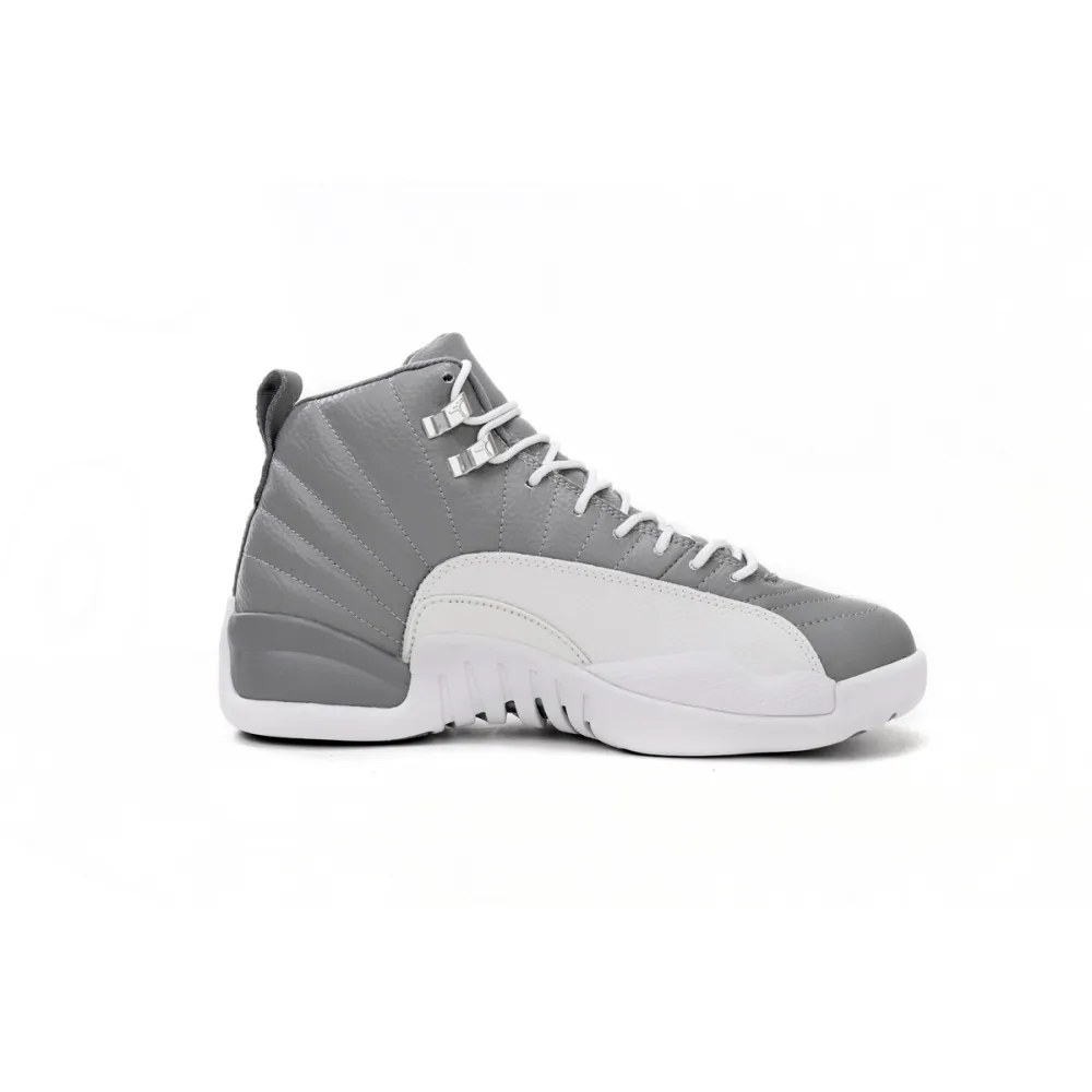 Air Jordan 12 Retro Stealth  CT8013-015 