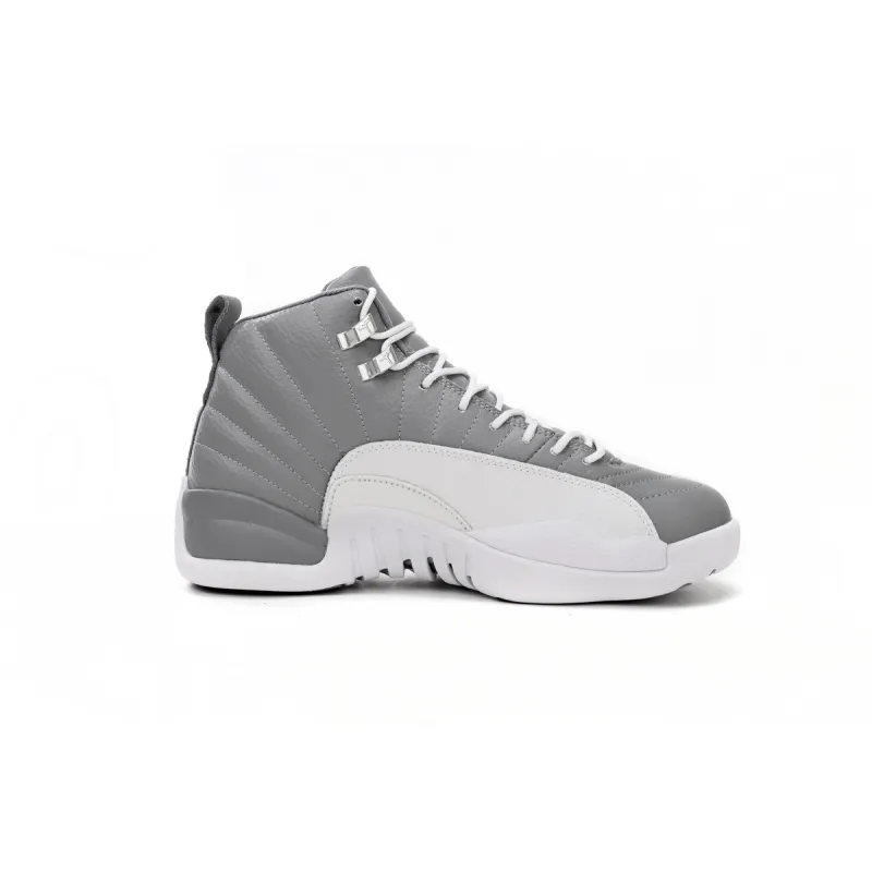 Air Jordan 12 Retro Stealth  CT8013-015 