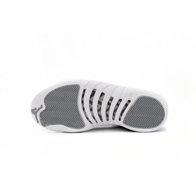 Air Jordan 12 Retro Stealth  CT8013-015 