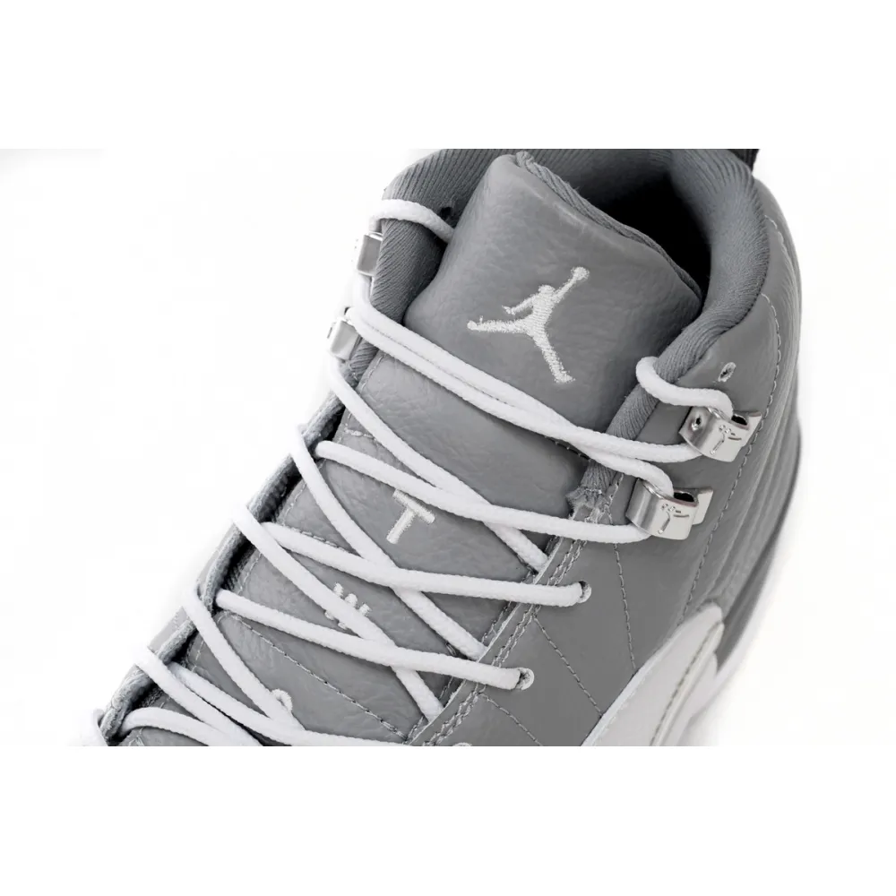 Air Jordan 12 Retro Stealth  CT8013-015 