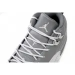 Air Jordan 12 Retro Stealth  CT8013-015 