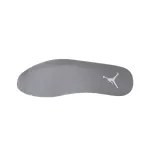 Air Jordan 12 Retro Stealth  CT8013-015 
